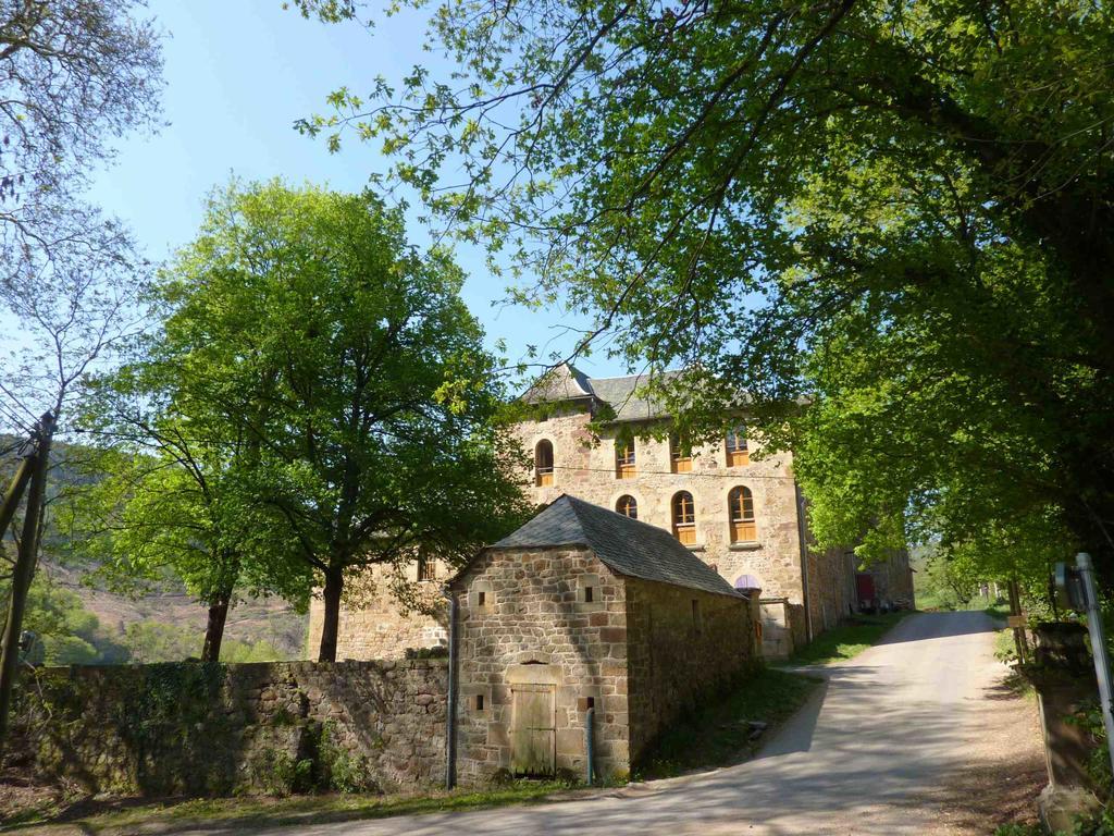 Chateau De Salelles Banassac Екстер'єр фото
