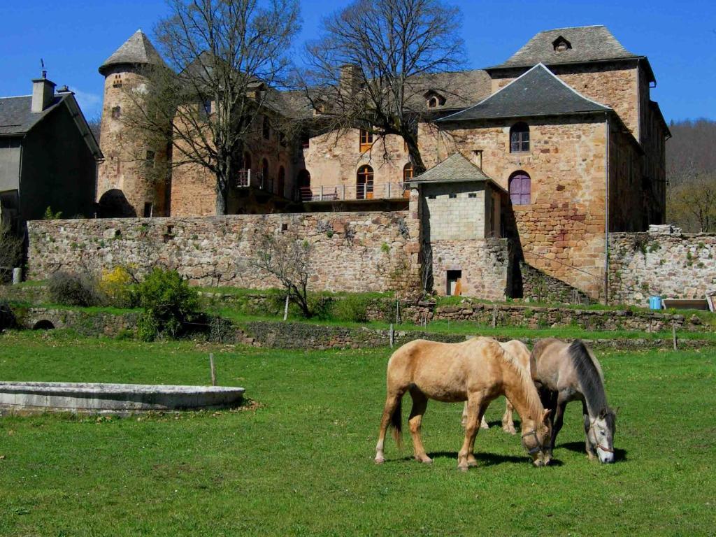 Chateau De Salelles Banassac Екстер'єр фото